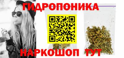 бошки Шахты