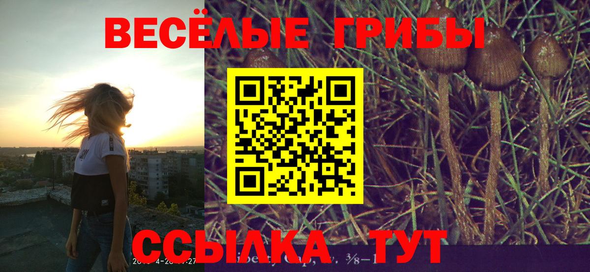 Каспийск  Галлюциногенные грибы мухоморы  Вход с VPN 