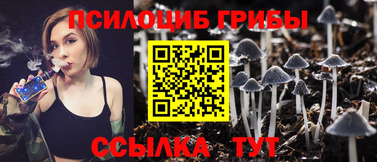 Галлюциногенные грибы мухоморы Каспийск